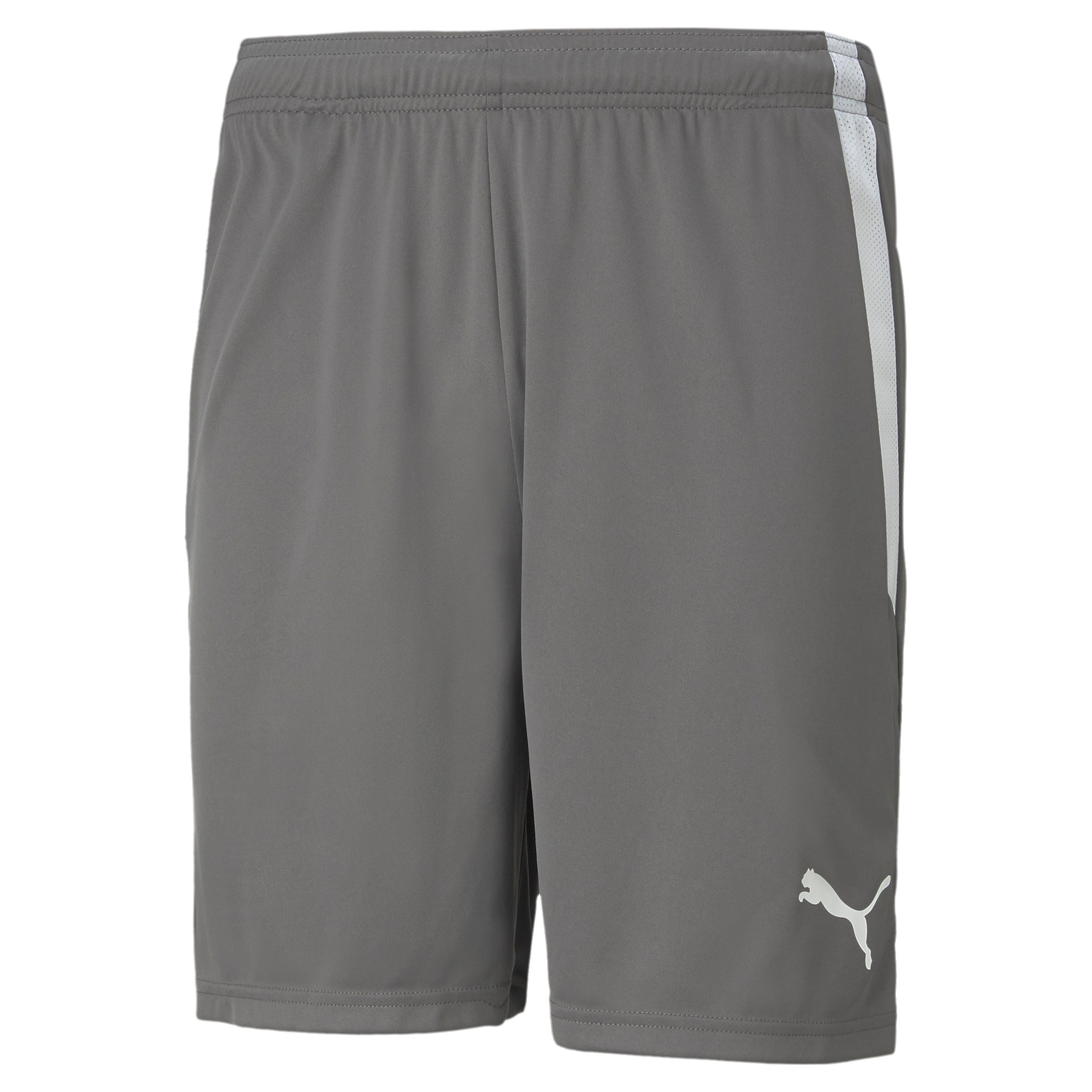 Puma Teamliga Shorts 13 Shorts - Sportwear - Volwassen