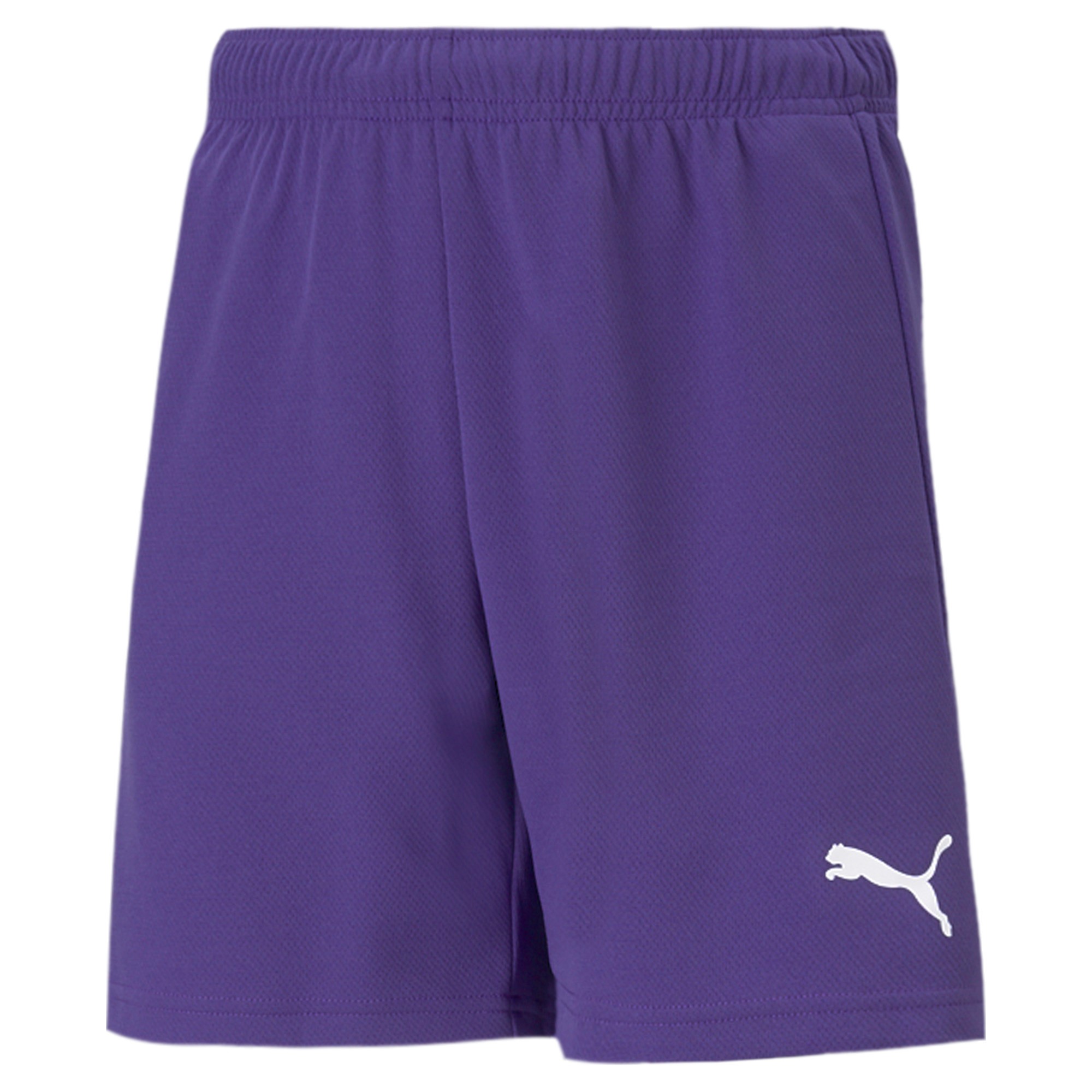 Puma Teamrise Short Kinderen - Paars | Maat: 116