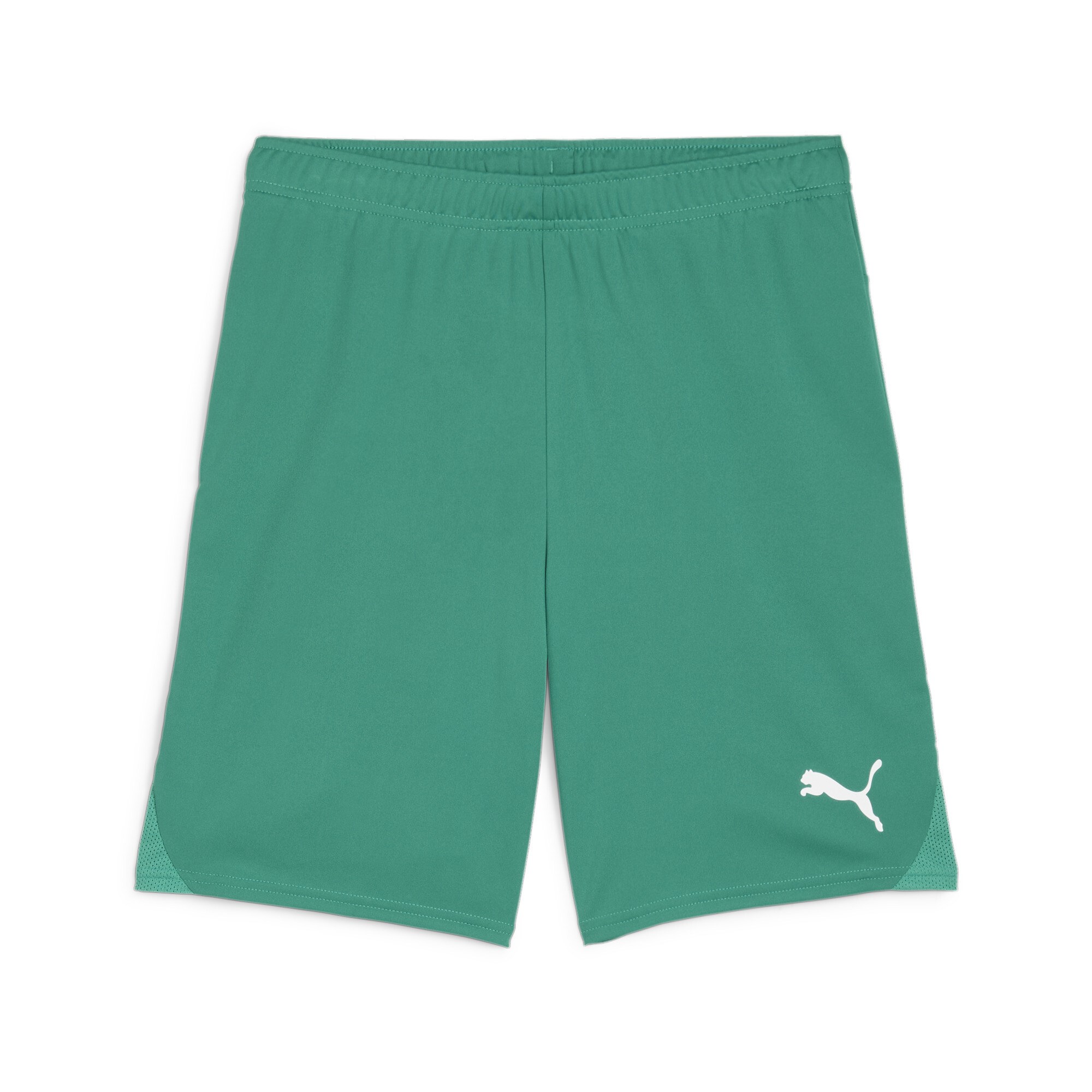 PUMA teamGOAL Shorts Heren Sportbroek - Sport Green-PUMA Wit - Maat S