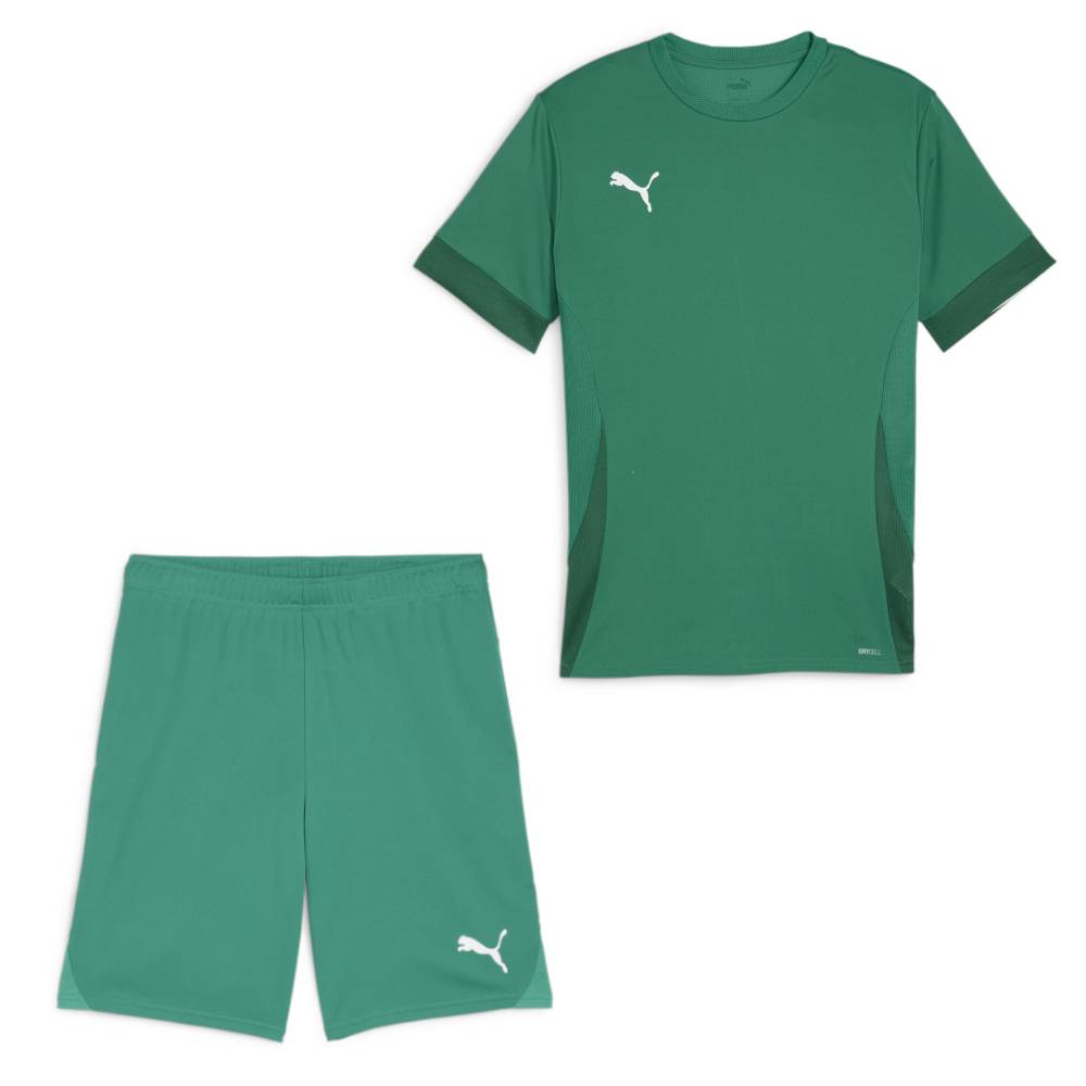 PUMA teamGOAL Matchday Voetbaltenue Kids Groen Wit