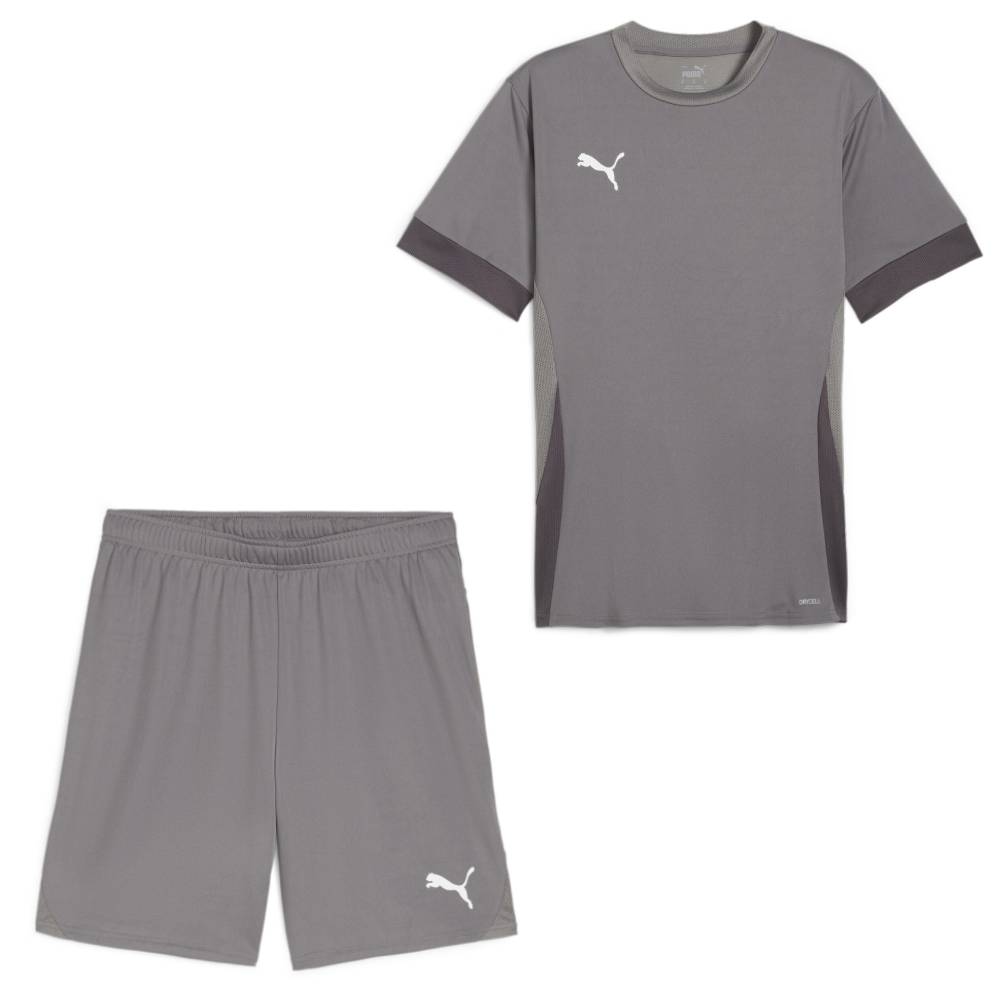 PUMA teamGOAL Matchday Voetbaltenue Grijs Wit