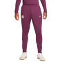 Nike Paris Saint Germain Strike Pantalon d'Entraînement 2024-2025 Mauve Blanc Vert Doré