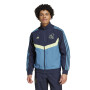 adidas Ajax Culturewear Veste d'Entraînement Woven 2024-2025 Bleu Bleu Clair Jaune