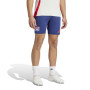 adidas Olympique Lyon Short d'Entraînement 2024-2025 Bleu Rouge Blanc