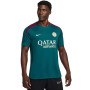 Nike Paris Saint Germain Strike Trainingsshirt 2024-2025 Groen Paars Wit Goud