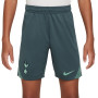 Nike Tottenham Hotspur Strike Short d'Entraînement 2024-2025 Enfants Vert Vert Clair