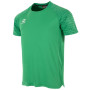 Maillot de football Stanno Bolt vert