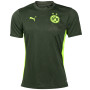 PUMA Borussia Dortmund Trainingsshirt 2024-2025 Groen Geel