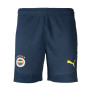 PUMA Fenerbahce SK Short d'Entraînement 2024-2025 Bleu Foncé Jaune