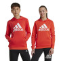 adidas Essentials Big Logo Hoodie Kids Rood Wit