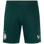 Pantalon d'entraînement Castore Feyenoord 2024-2025 Vert Foncé Blanc