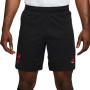 Nike Liverpool Short 3rd 2024-2025