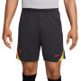 Nike Liverpool Strike Short d'Entraînement 2024-2025 Gris Foncé Jaune Rouge