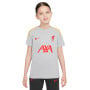 Nike Liverpool Strike Trainingsshirt 2024-2025 Kids Grijs Geel Rood