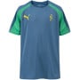 PUMA Neymar Jr. BNA Trainingsshirt 2.0 Kids Blauw Groen Geel