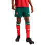 PUMA Portugal Thuisbroekje 2025-2026 Kids