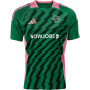 Maillot de football Adidas Masters of Madness FC Panic Attack vert et rose