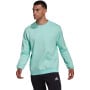 adidas Entrada 22 Crew Sweater Turquoise Wit