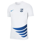 SV Hertha Wedstrijdshirt Senior