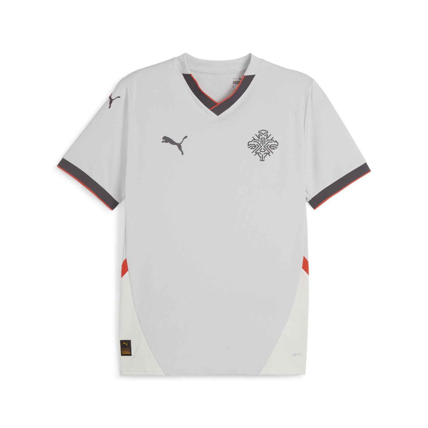 PUMA IJsland Uitshirt 2024-2026