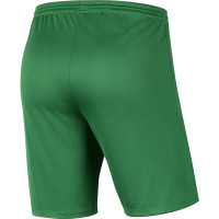 SPV'81 Trainingsshort Senior Groen