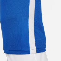 Nike Challenge IV Voetbalshirt Kids Blauw Wit