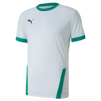 PUMA TeamGOAL 23 Trainingsshirt Wit Groen