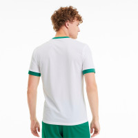 PUMA TeamGOAL 23 Trainingsshirt Wit Groen