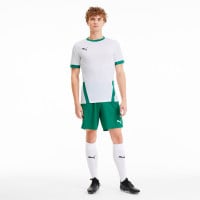 PUMA TeamGOAL 23 Trainingsshirt Wit Groen