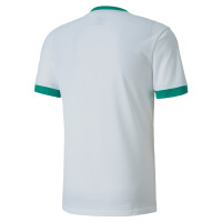 PUMA TeamGOAL 23 Trainingsshirt Wit Groen