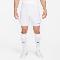 Nike Park III Voetbalbroekje Wit Blauw