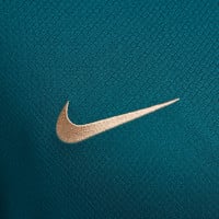 Nike Paris Saint-Germain Strike Trainingsset 2024-2025 Groen Paars Wit Goud