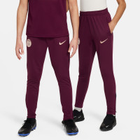 Nike Paris Saint-Germain Strike Trainingsbroek 2024-2025 Kids Paars Groen Wit Goud