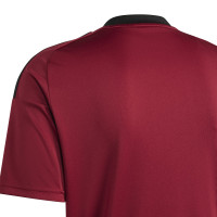 adidas België Thuisshirt Fans 2024-2026