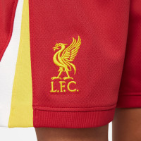 Nike Liverpool Minikit Thuis 2024-2025 Kleuters