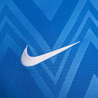 Nike Challenge V Voetbalshirt Blauw Wit
