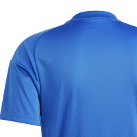 adidas Italië Thuisshirt Fans 2024-2026