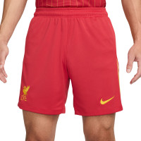 Nike Liverpool Thuisset 2024-2025