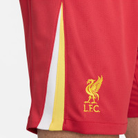 Nike Liverpool Thuisset 2024-2025