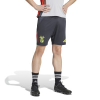 adidas Benfica Trainingsset 2024-2025 Lichtgrijs Donkergrijs Felgeel