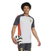 adidas Benfica Trainingsshirt 2024-2025 Lichtgrijs Donkergrijs