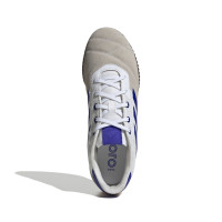 adidas Copa Gloro Zaalvoetbalschoenen (IN) Wit Beige Blauw