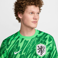 Nike Nederland Keepersshirt Lange Mouwen 2024-2026 Groen