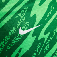 Nike Nederland Keepersshirt Lange Mouwen 2024-2026 Groen