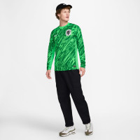 Nike Nederland Keepersshirt Lange Mouwen 2024-2026 Groen