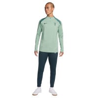 Nike Tottenham Hotspur Strike Trainingstrui 2024-2025 Lichtgroen Groen