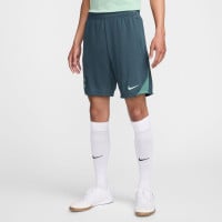 Nike Tottenham Hotspur Strike Trainingsbroekje 2024-2025 Groen Lichtgroen