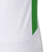 Castore Ierland Uitshirt 2024-2025