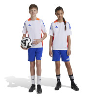 adidas Tiro 24 Trainingsbroekje Kids Blauw Rood Wit