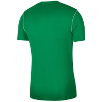 SPV '81 Trainingsshirt Spelers Senior Groen